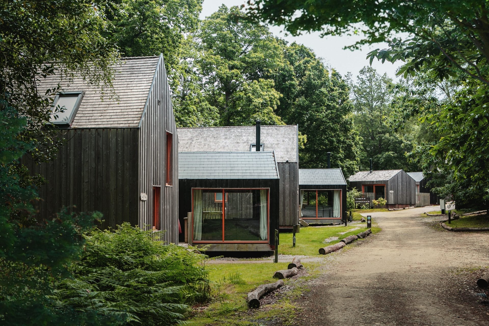 Contemporary architectural lodges nestled in a forest campsite, blending seamlessly with the natural surroundings. Stickland Wright Architecture and Interior Design